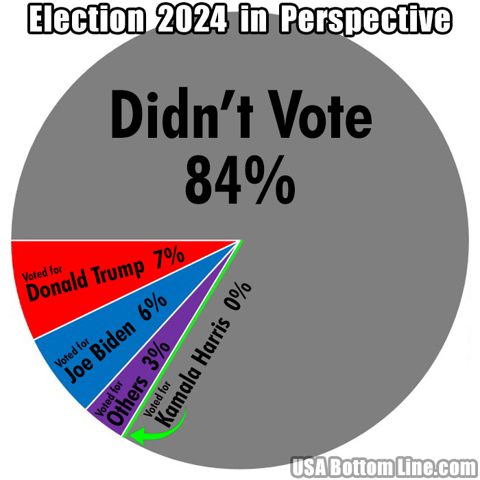 2024 United States Presidential Primary Election Results...Percentage of Eligible Voters Reached by Each Candidate