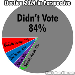 Election 2024 in Perspective, Democracy Fails Due to Widespread Apathy & Party Manipulation